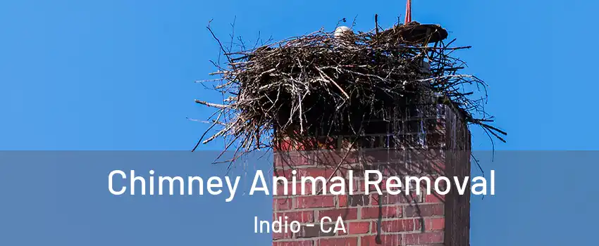  Chimney Animal Removal Indio - CA